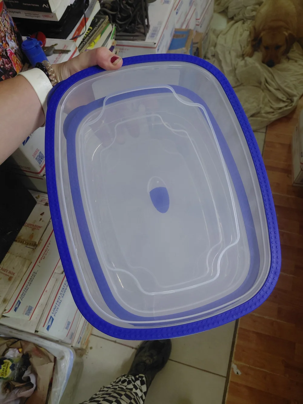 4-piece Kroger BPA-Free Durable Plastic Food Storage Container set featuring a c